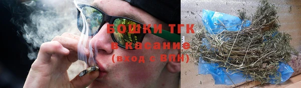 индика Нефтегорск
