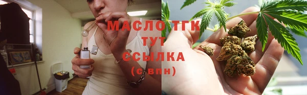 индика Нефтегорск