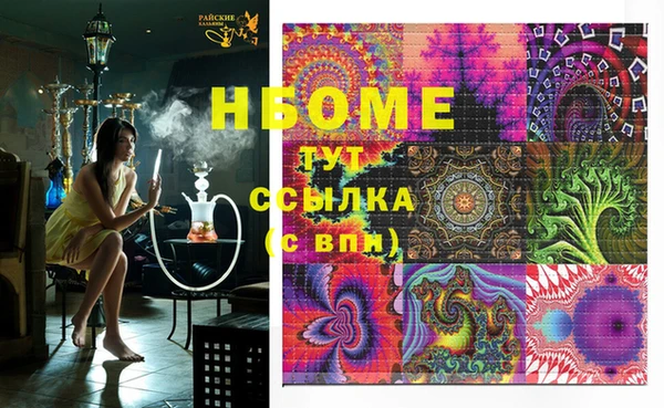 индика Нефтегорск