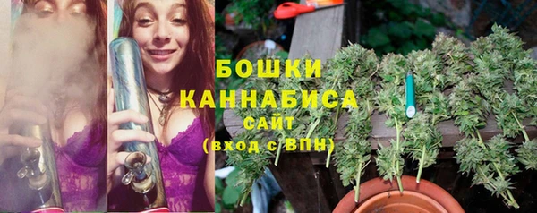 индика Нефтегорск